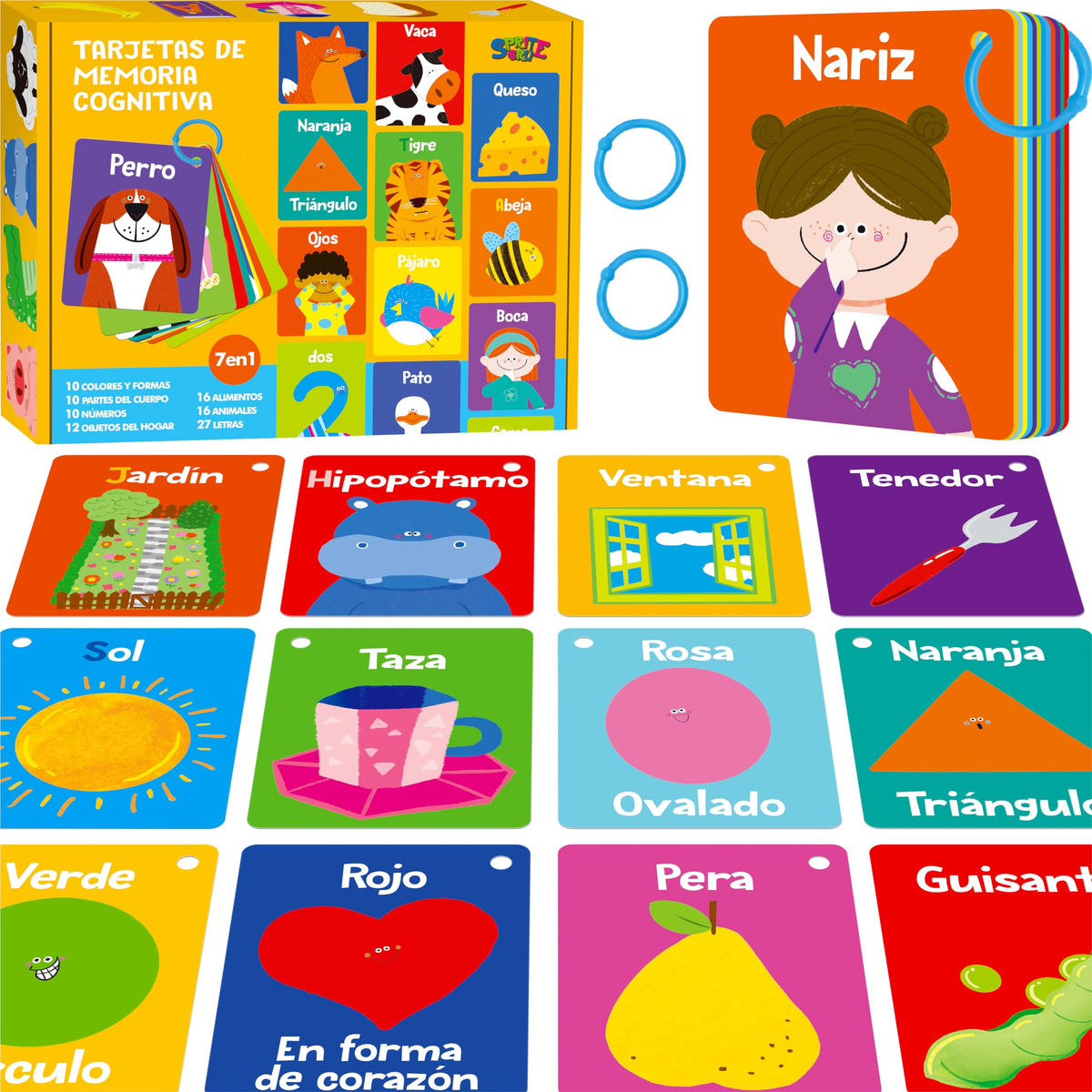 52-Piece Money & Time Learning Flash Cards
