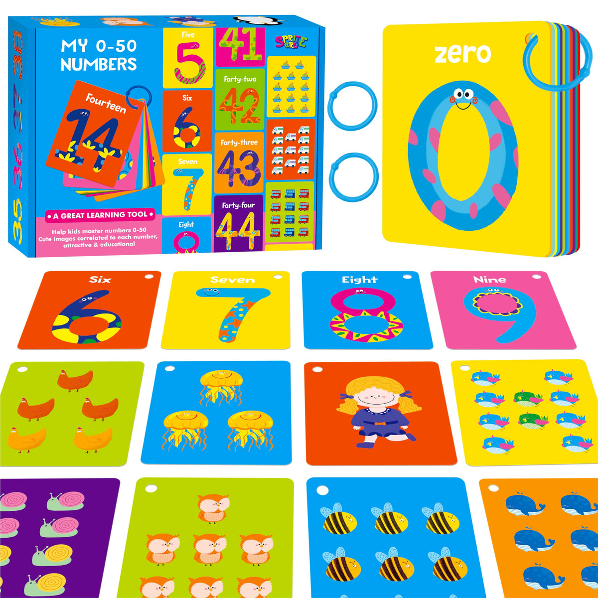 52-Piece Money & Time Learning Flash Cards
