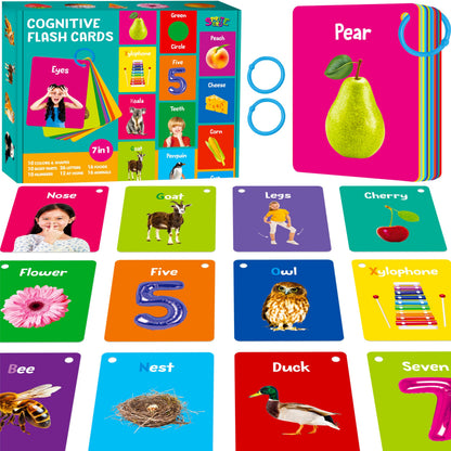 52-Piece Money & Time Learning Flash Cards
