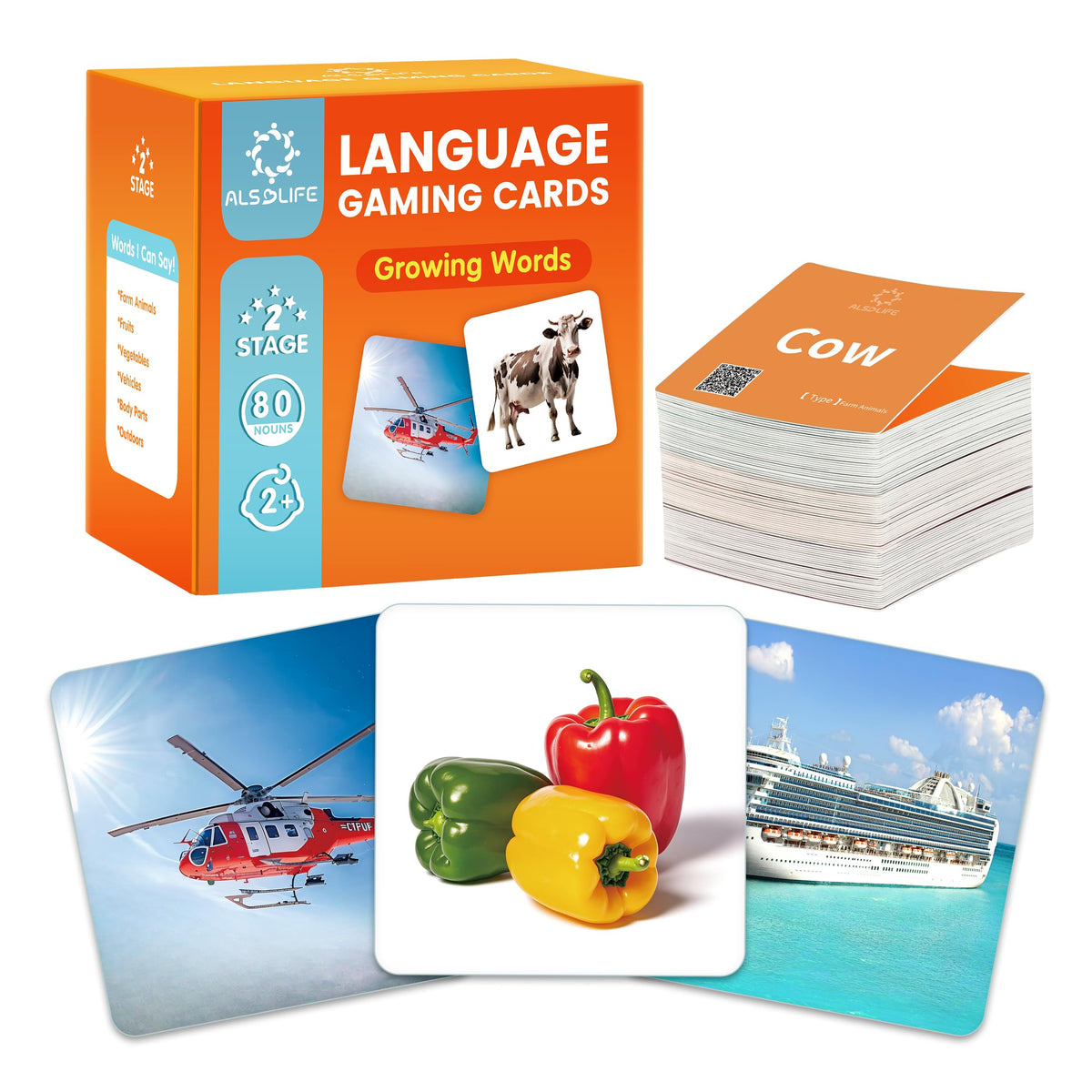 First Words Noun Flash Cards Learning Set