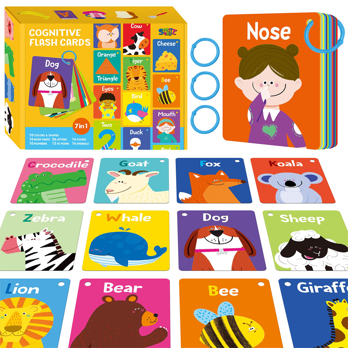 52-Piece Money & Time Learning Flash Cards