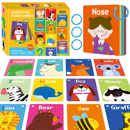 52-Piece Money & Time Learning Flash Cards