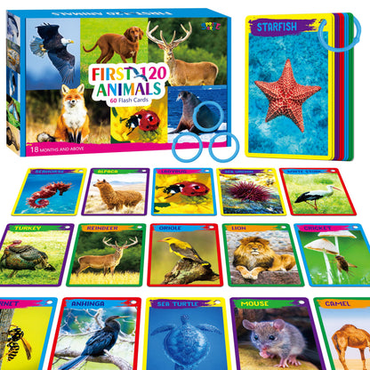 52-Piece Money & Time Learning Flash Cards
