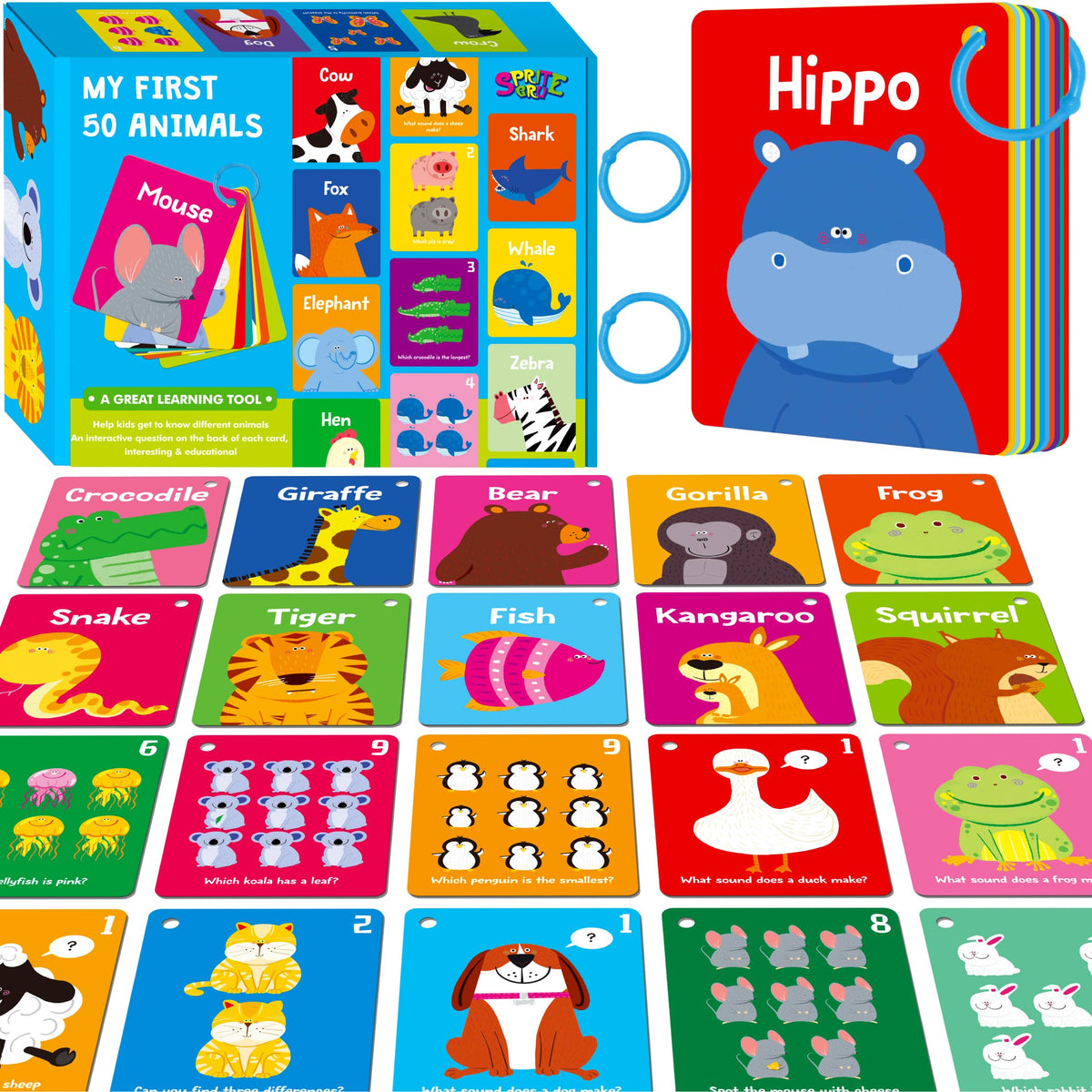 52-Piece Money & Time Learning Flash Cards