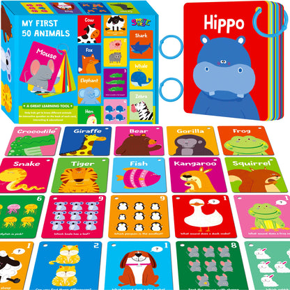 52-Piece Money & Time Learning Flash Cards